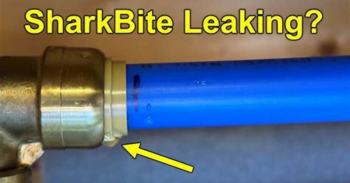 Why Is My Sharkbite Fitting Leaking?