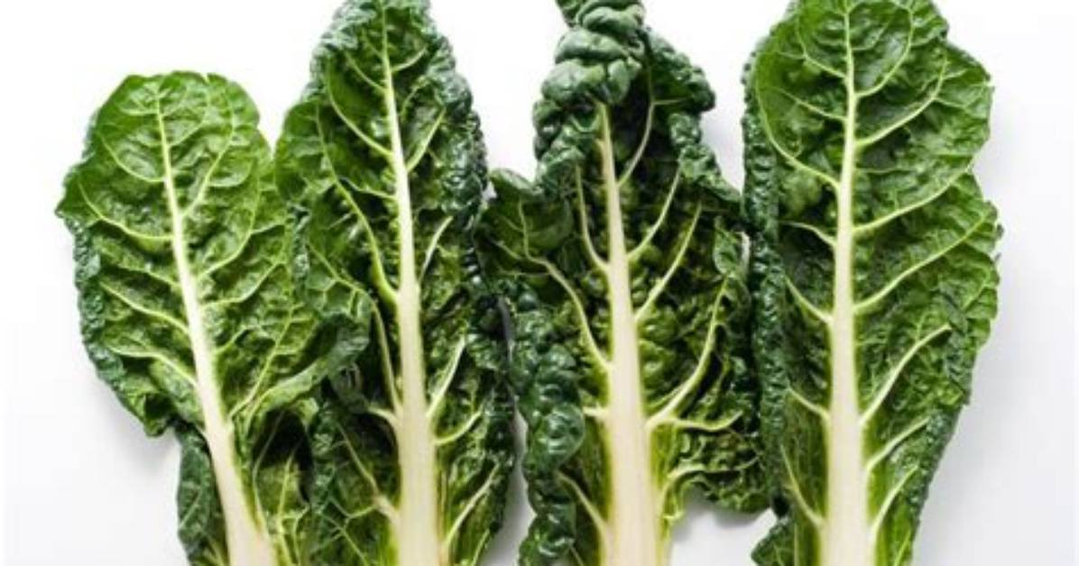 Why Is My Silverbeet Light Green