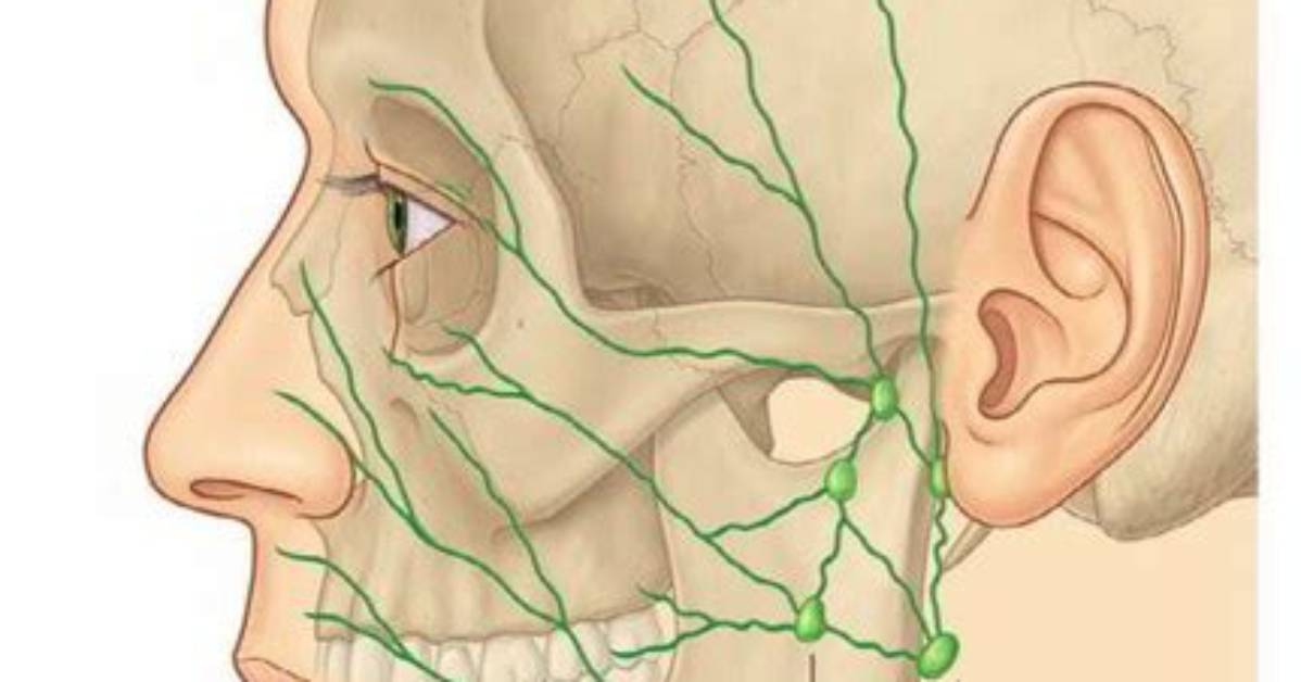 Why Is My Submental Lymph Node Swollen?