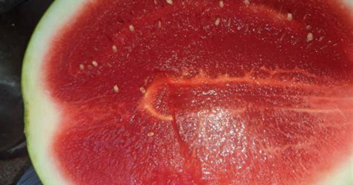 Why Is My Watermelon Rubbery