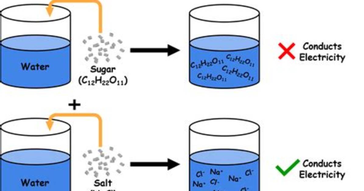 Why Is Nonelectrolyte Important?