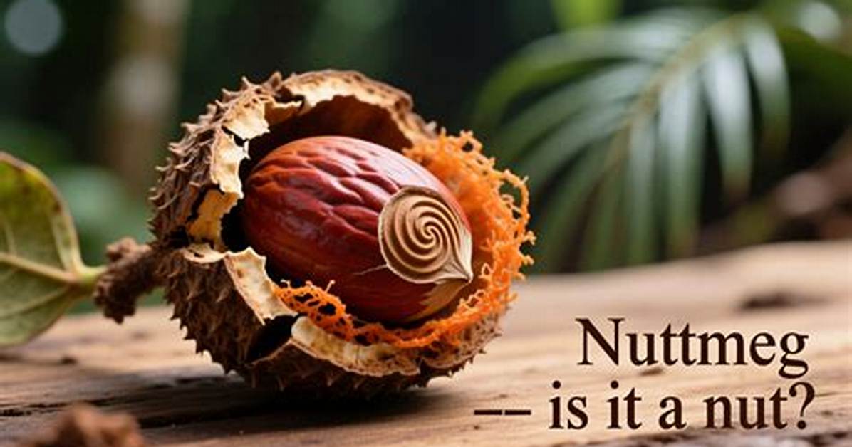 Why Is Nutmeg Banned