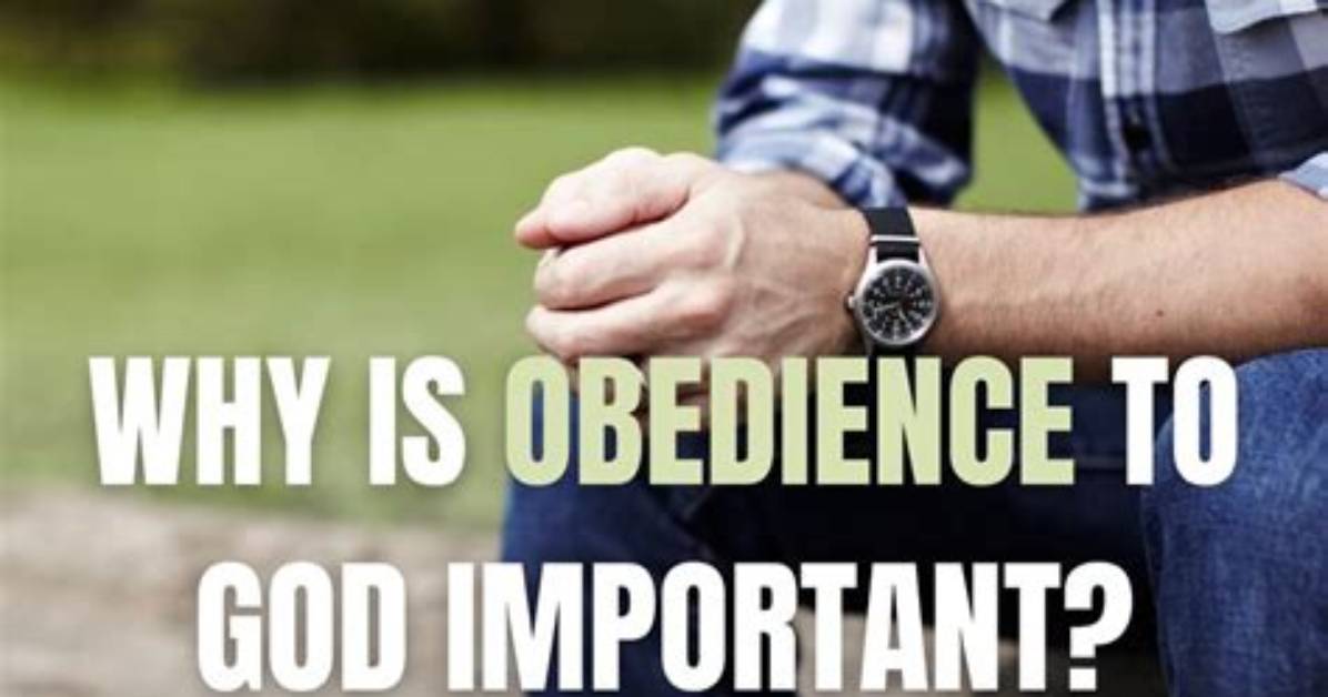 Why Is Obedience Important?