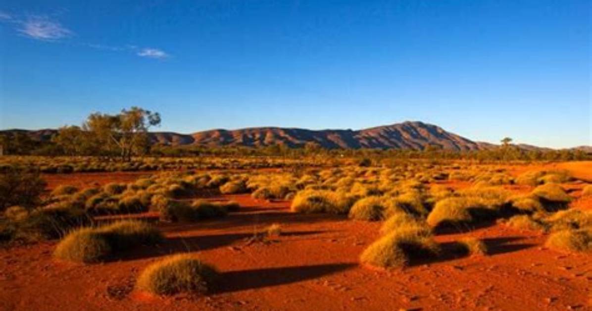 Why Is Outback Australian?