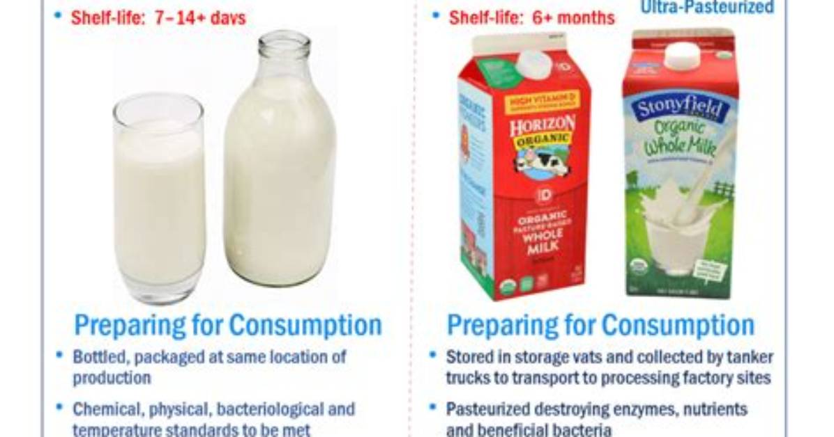 Why Is Pasteurised Milk Bad for You?