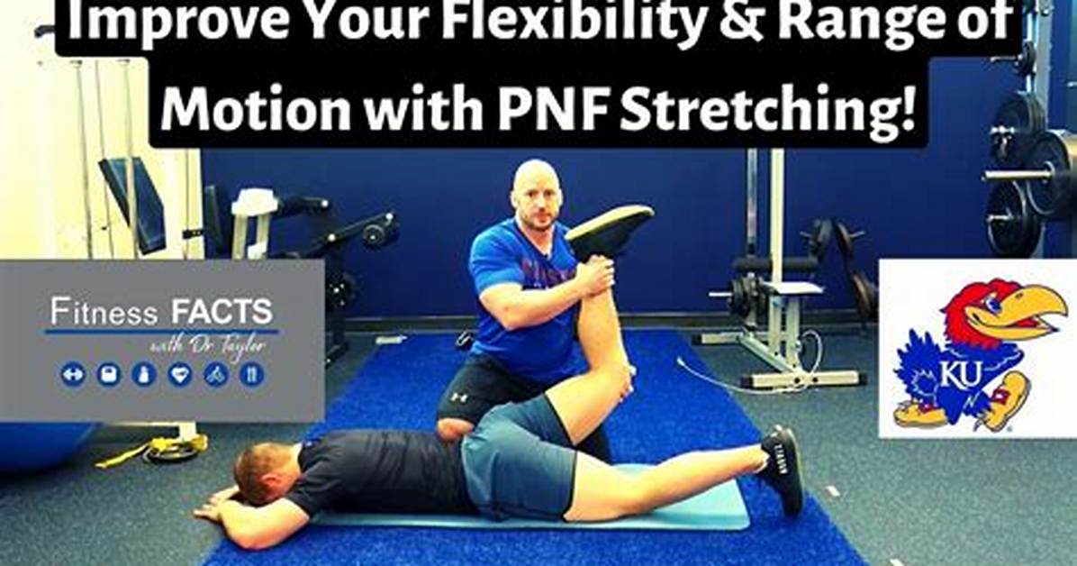 Why Is Pnf Stretching Good