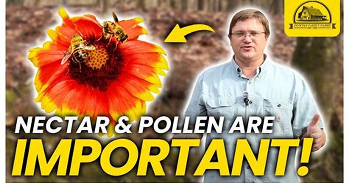 Why Is Pollen So Important