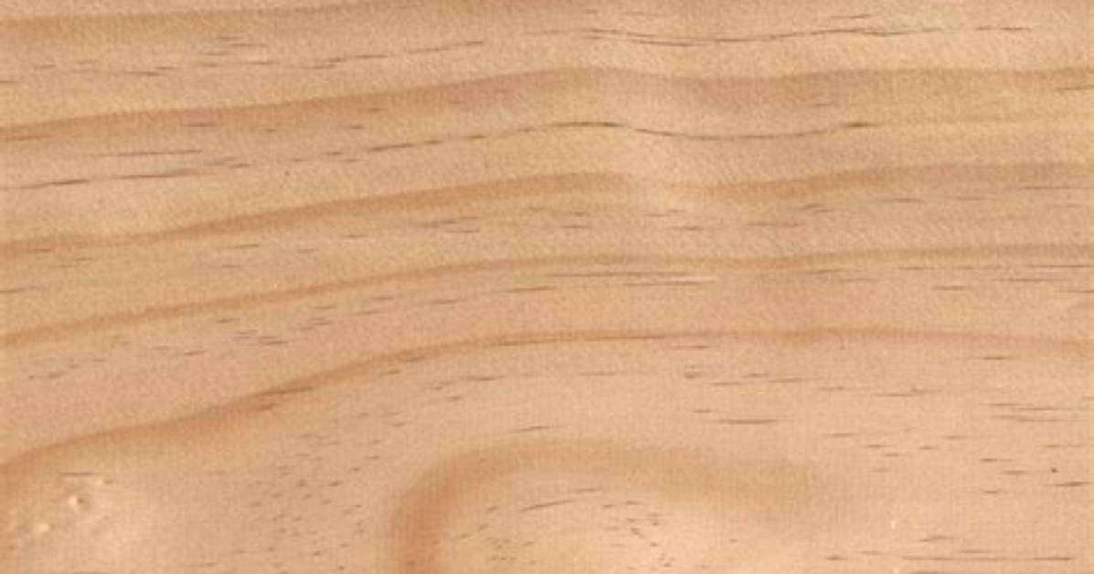 Why Is Radiata Pine So Commonly Used?