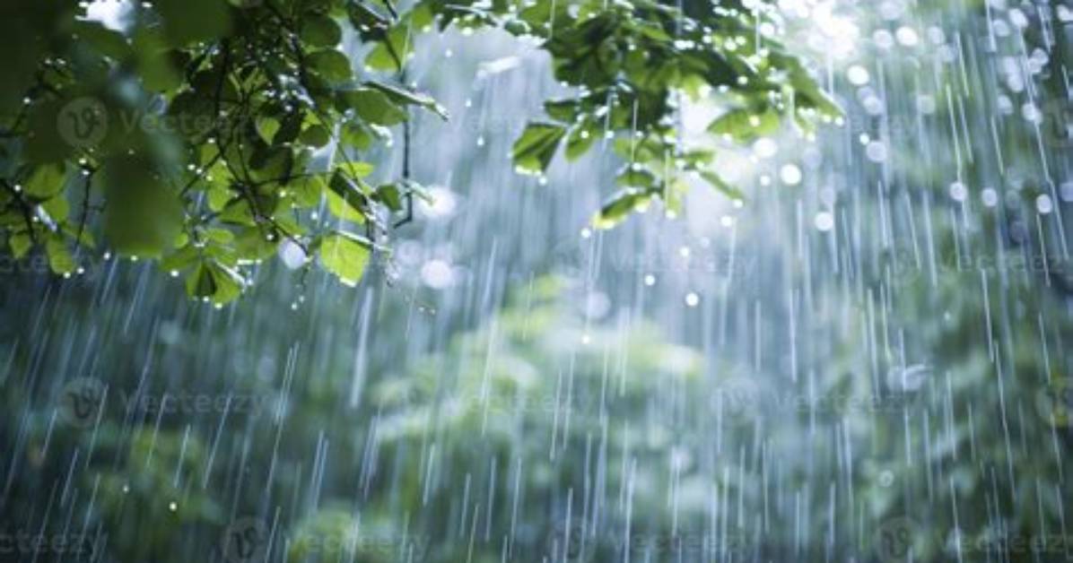 Why Is Rain Beautiful