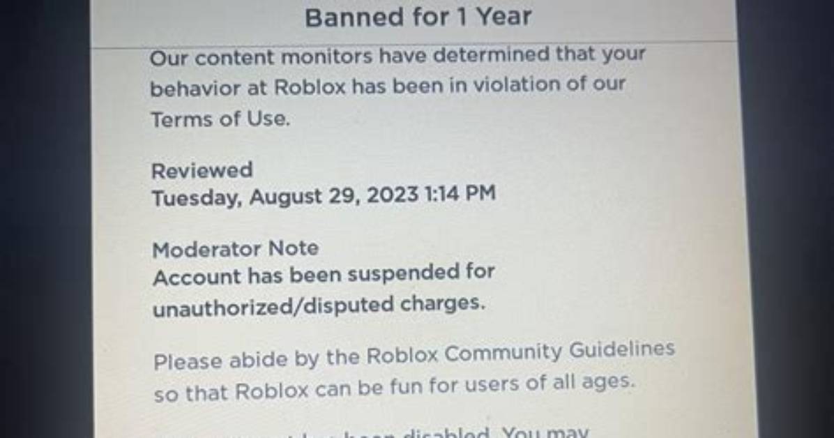 Why Is Roblox Banned