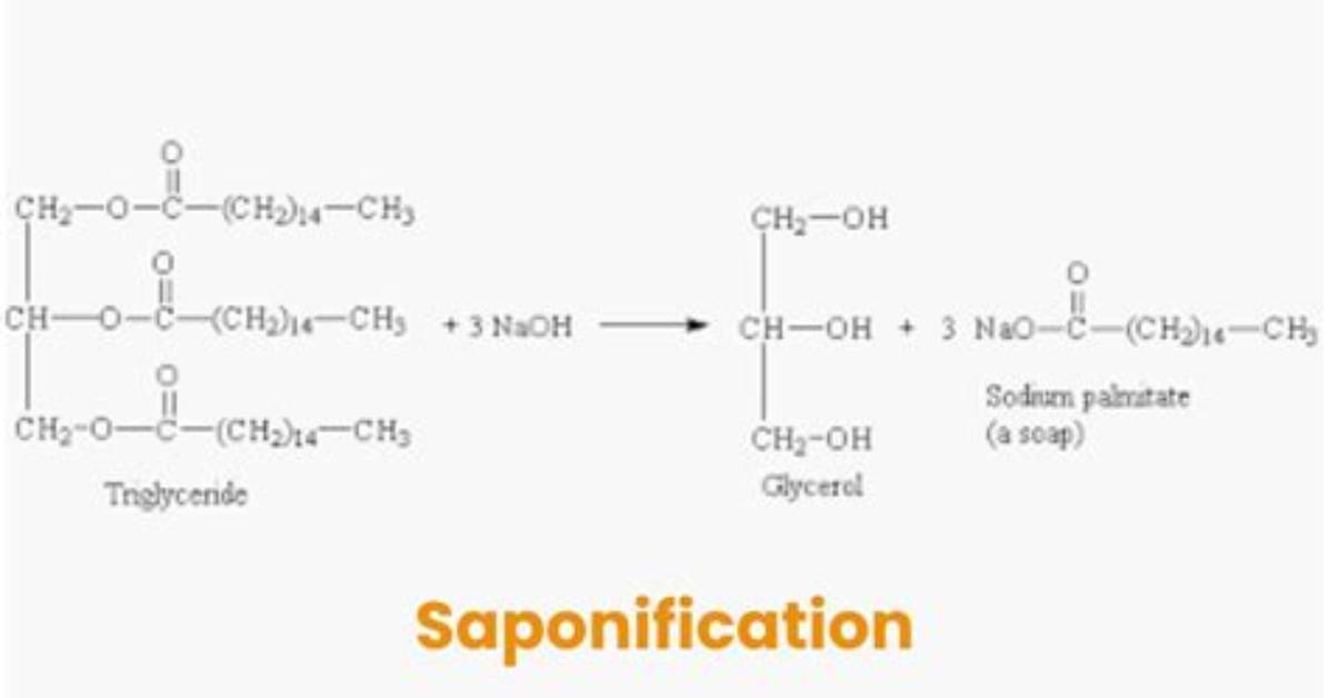Why Is Saponification Important?