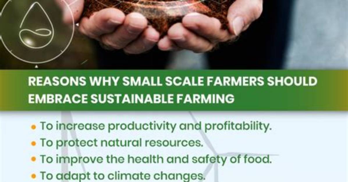 Why Is Small Scale Farming More Efficient