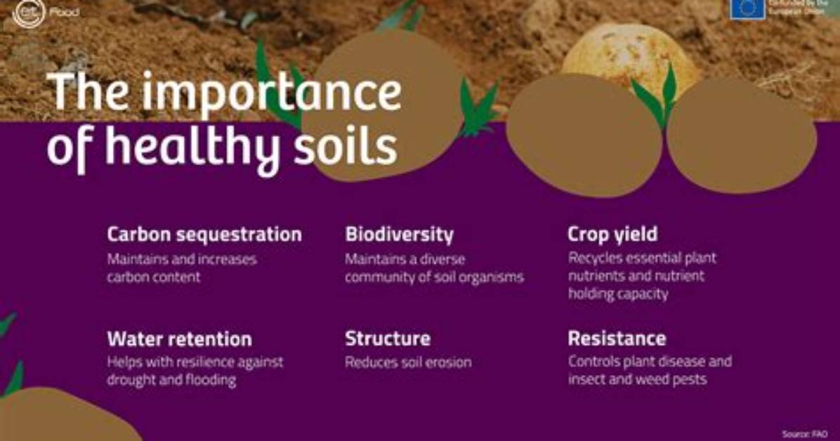 Why Is Soil Quality Important for Crops