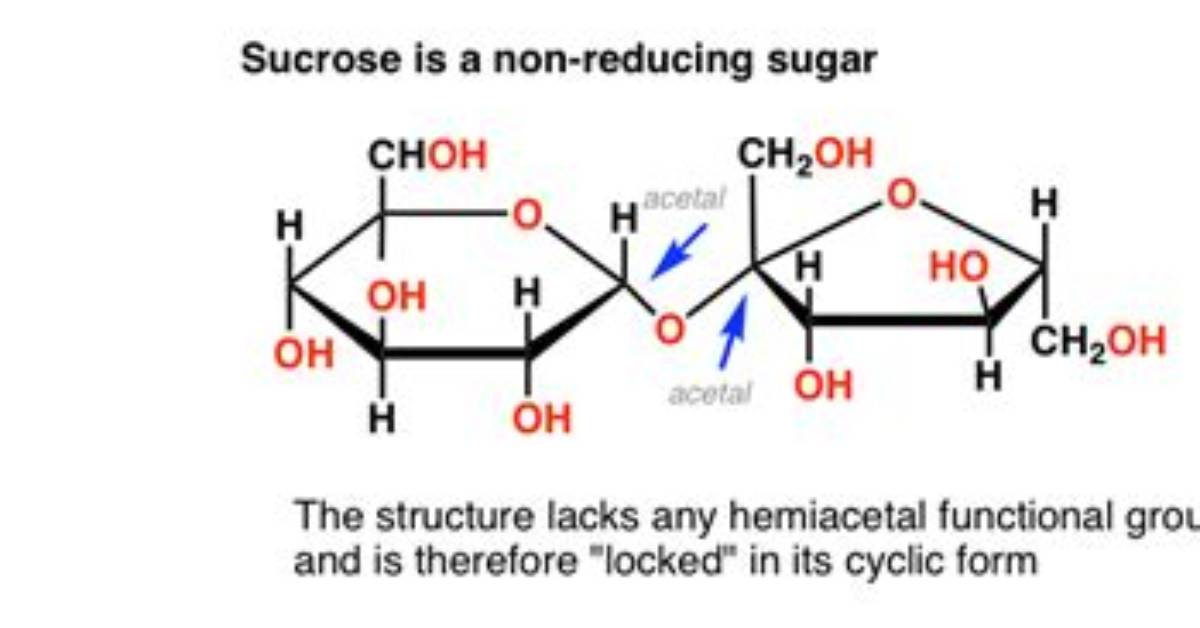 Why Is Sucrose Not a Reducing Sugar?