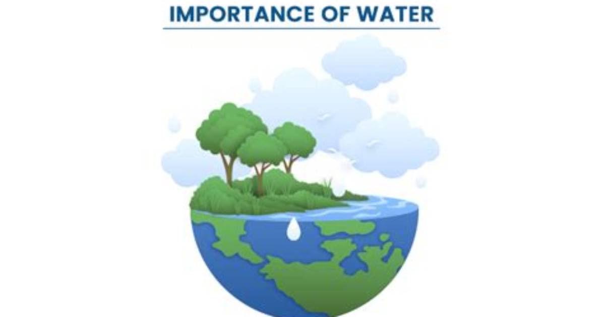 Why Is Surface Water Important