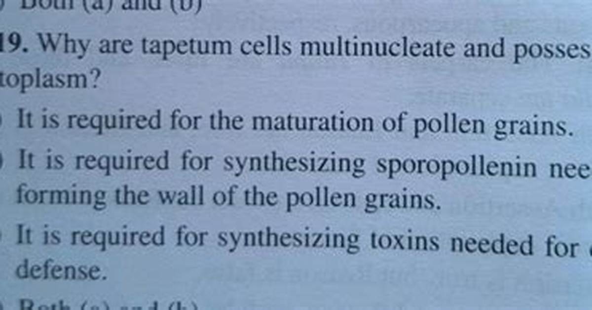 Why Is Tapetum Binucleate?