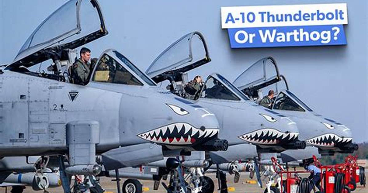 Why Is the a 10 Thunderbolt Called the Warthog?