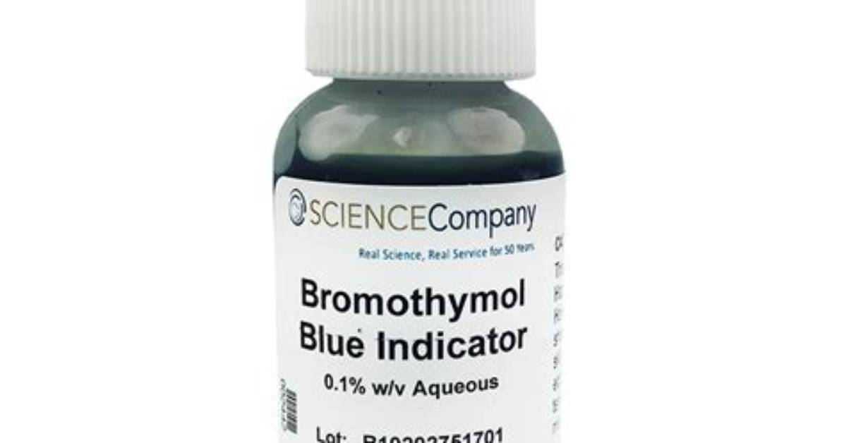 Why Is the Bromothymol Solution Blue?