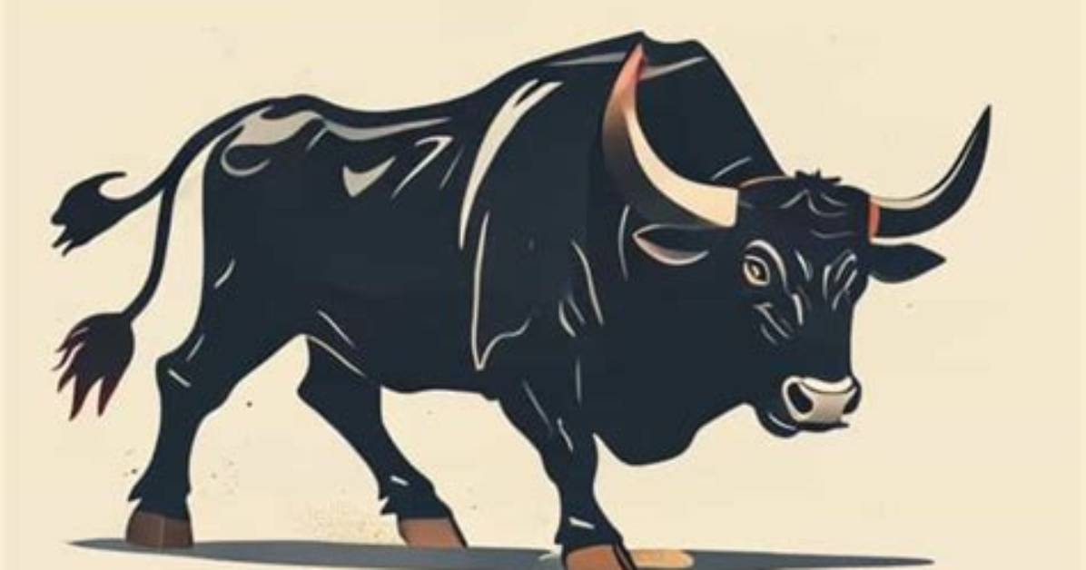 Why Is the Bull Killed After a Bullfight