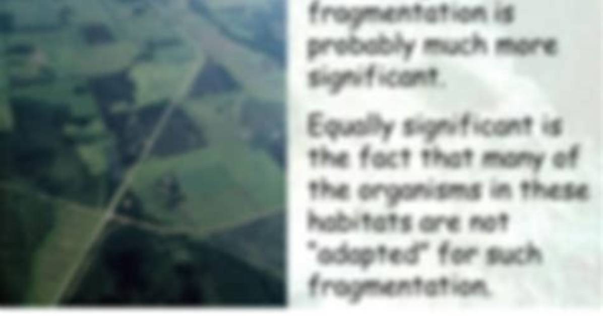 Why Is the Edge Effect Important