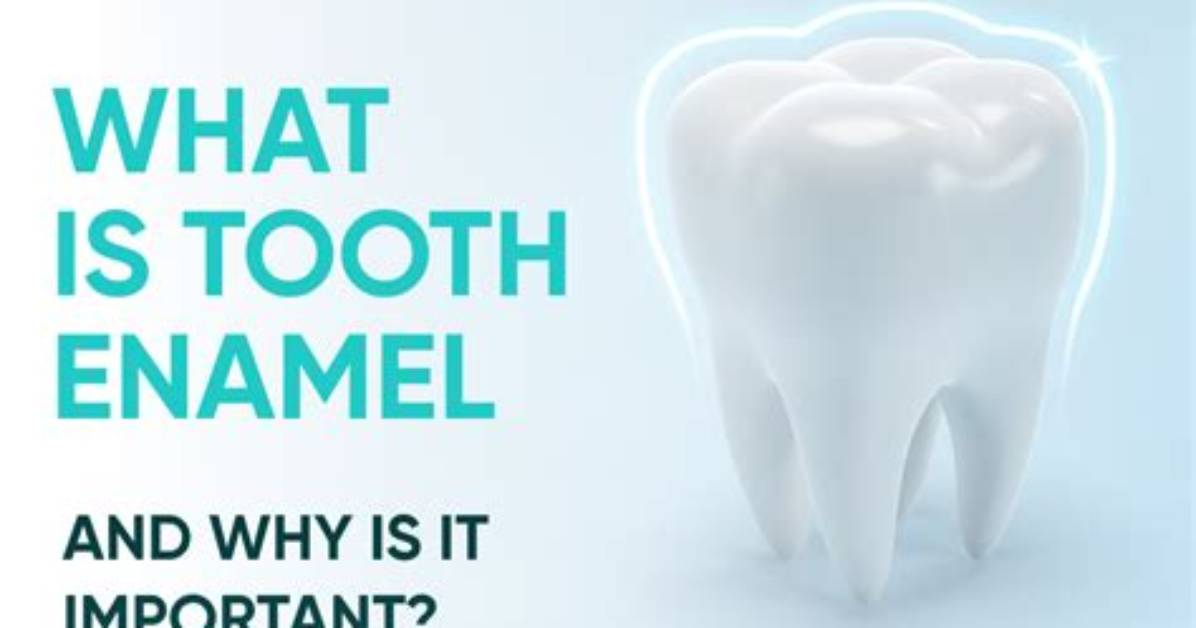 Why Is the Enamel Hard?