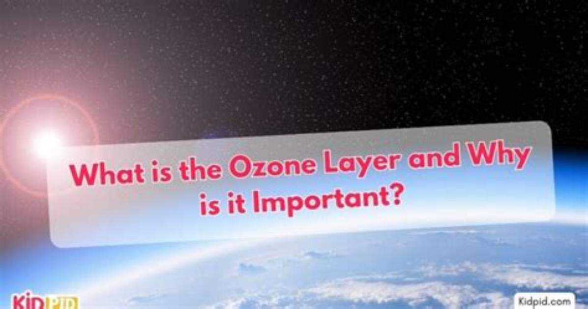 Why Is the Neuston Layer Important