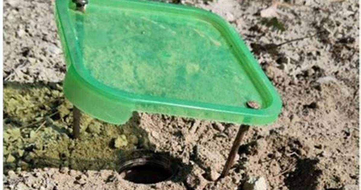 Why Is the Pitfall Trap Important?