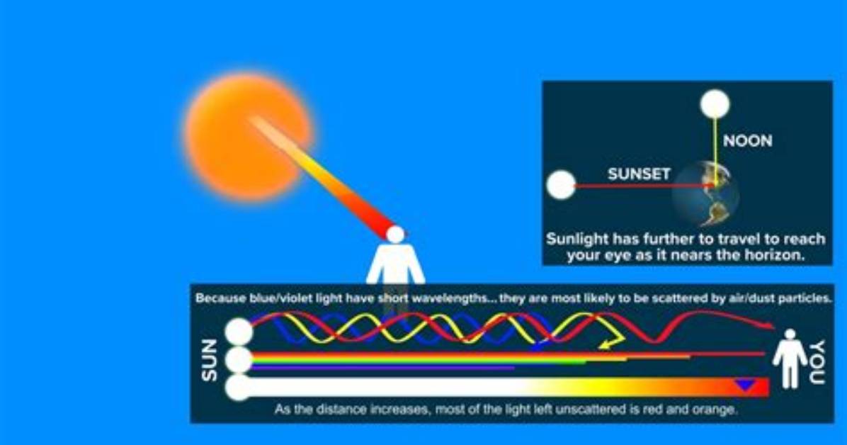 Why Is the Sun So Large