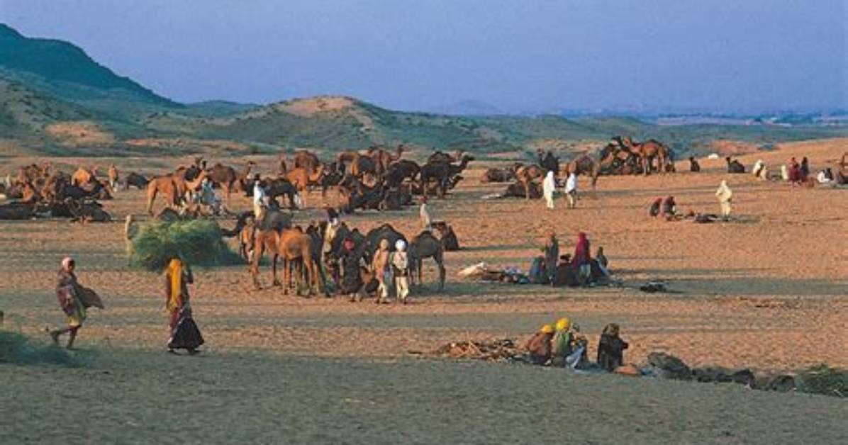 Why Is the Thar Desert Sparsely Populated?