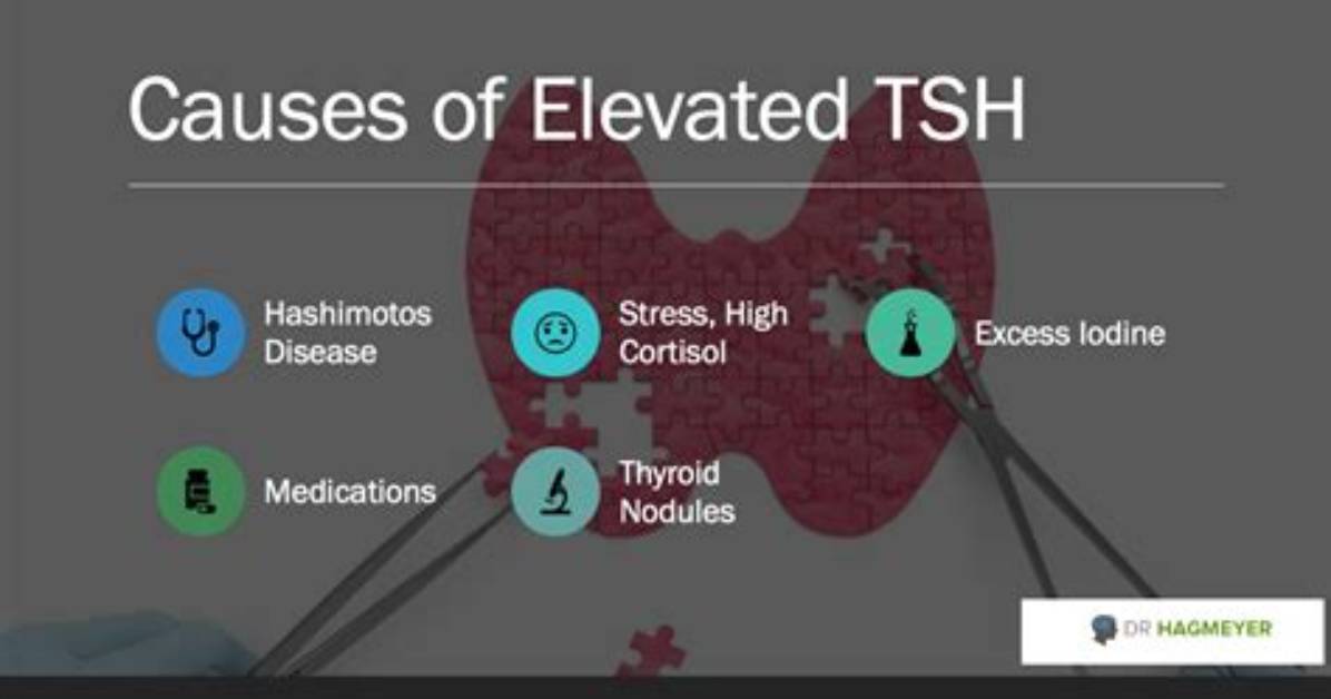 Why Is Tsh Elevated in Hypothyroidism