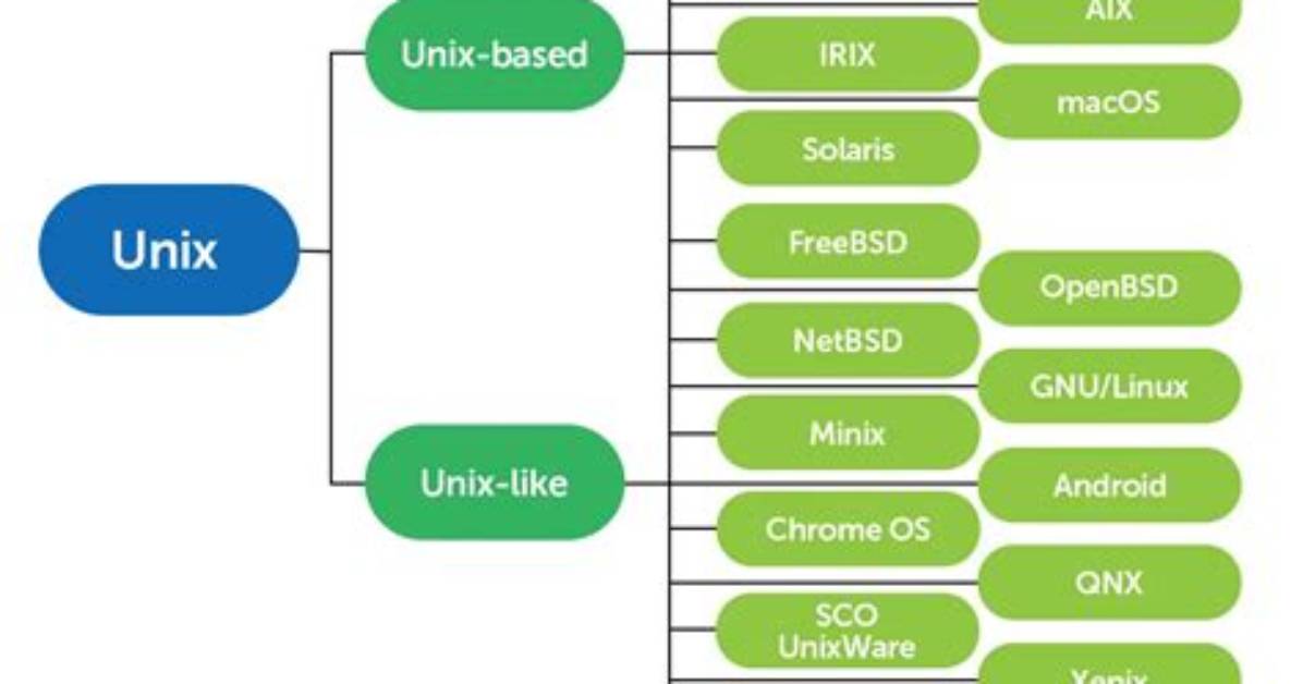 Why Is Unix Good for Programming?