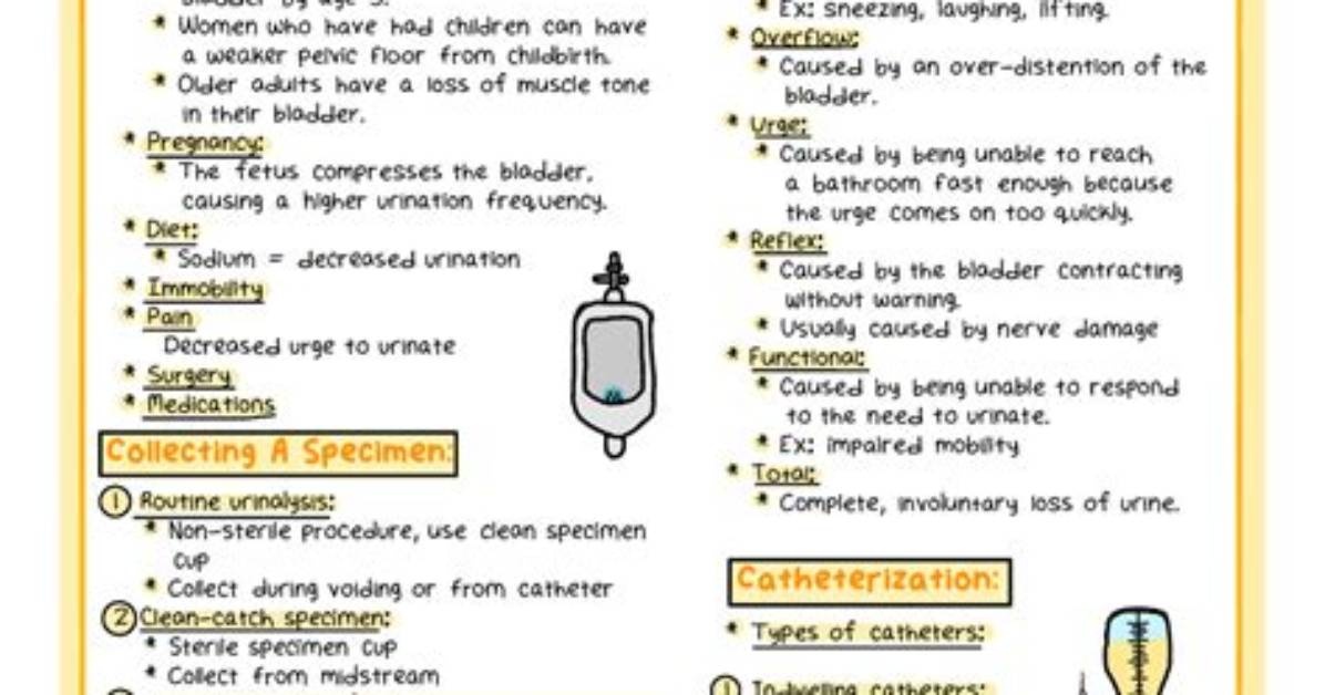 Why Is Urinary Elimination Important