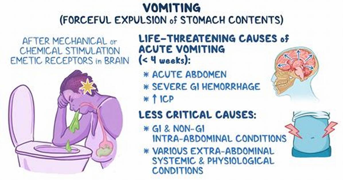 Why Is Vomiting So Forceful?