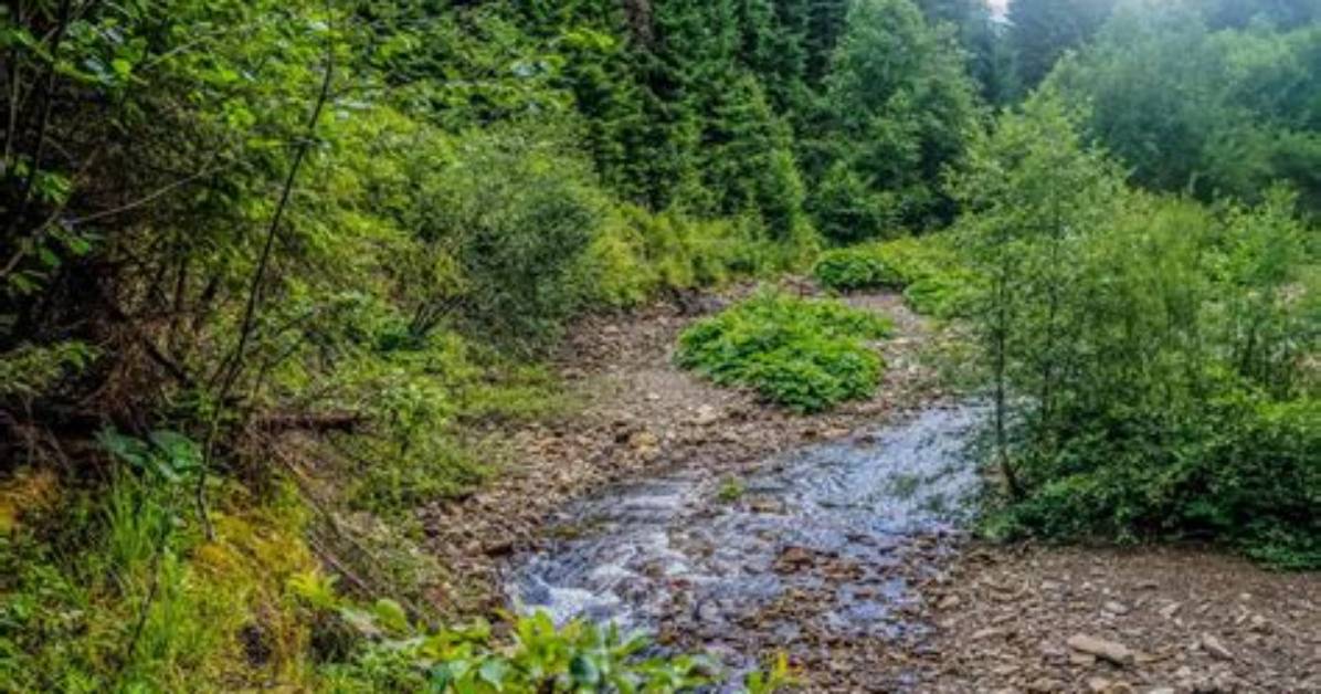 Why Is Wilderness Important - Lisbd-Net. Com