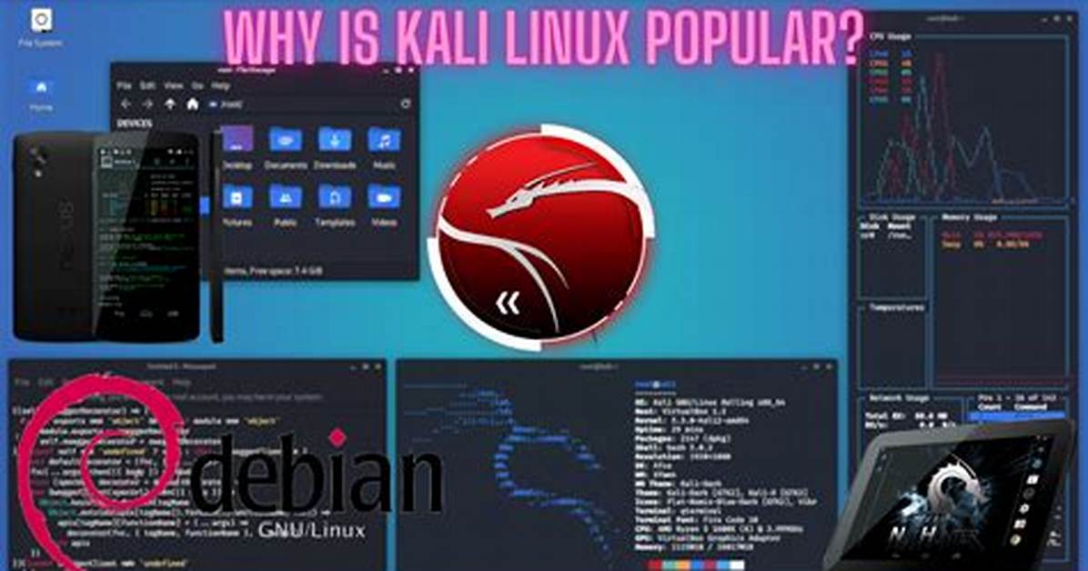 Why Kali Linux Is the Best?