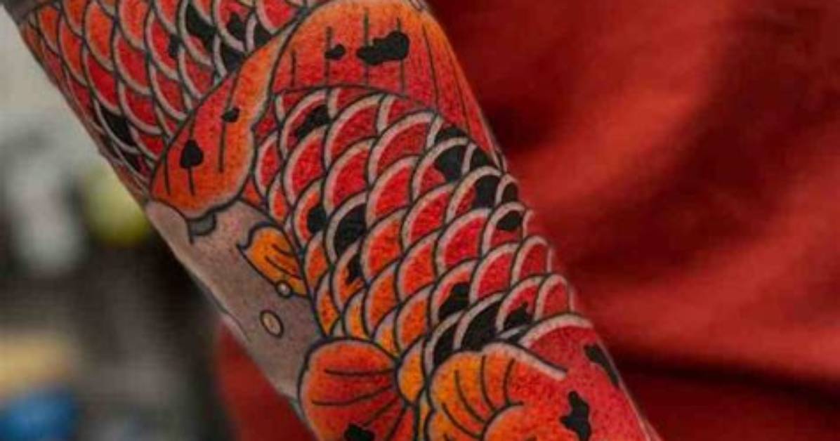 Why Koi Fish Tattoo?