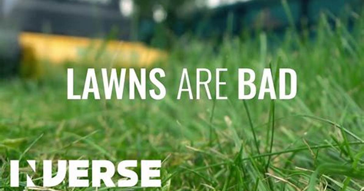 Why Lawns Are Bad?