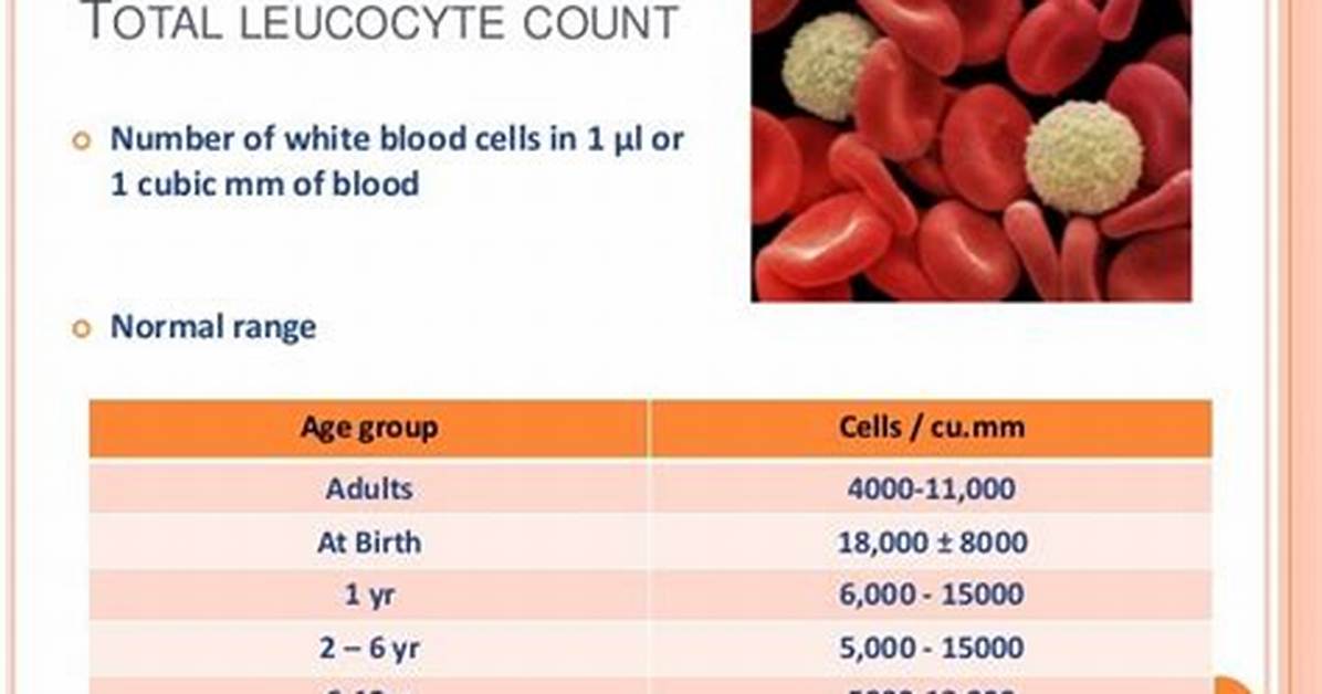 Why Leukocyte Count Increased?