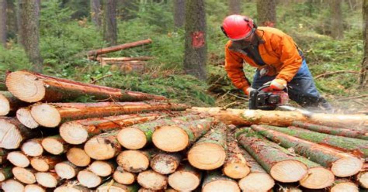 Why Logging Is Dangerous?