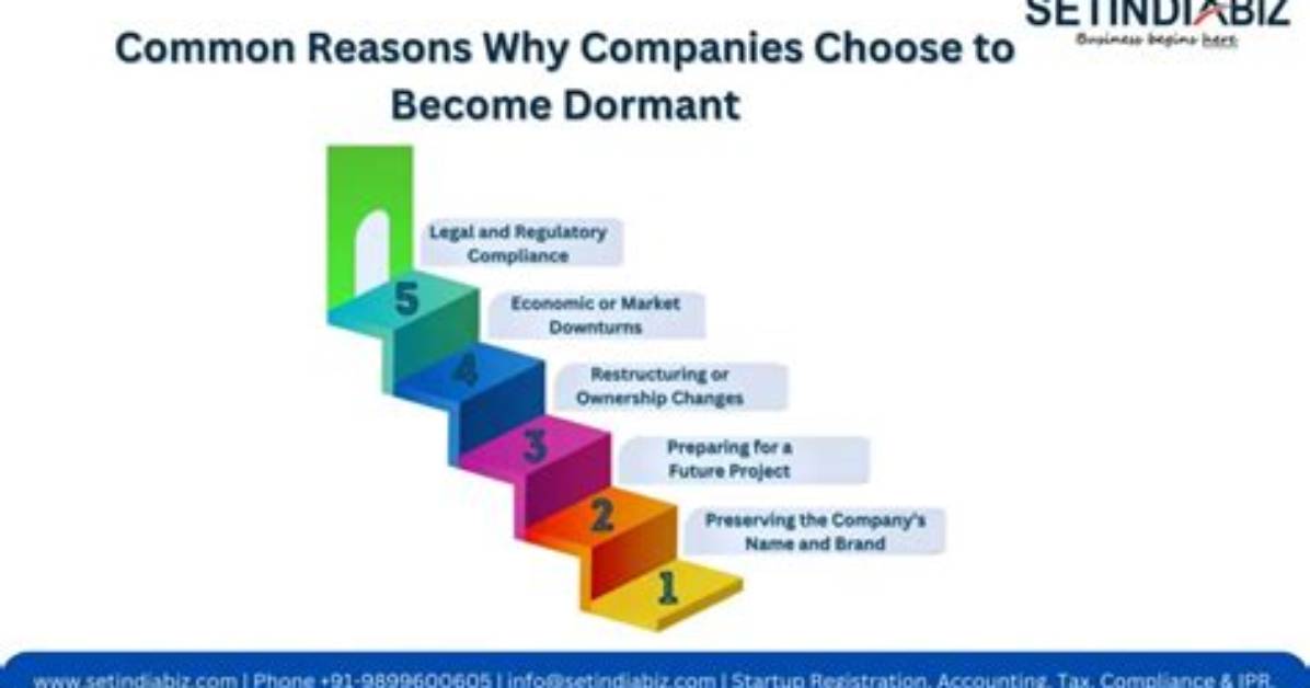 Why Make a Company Dormant?