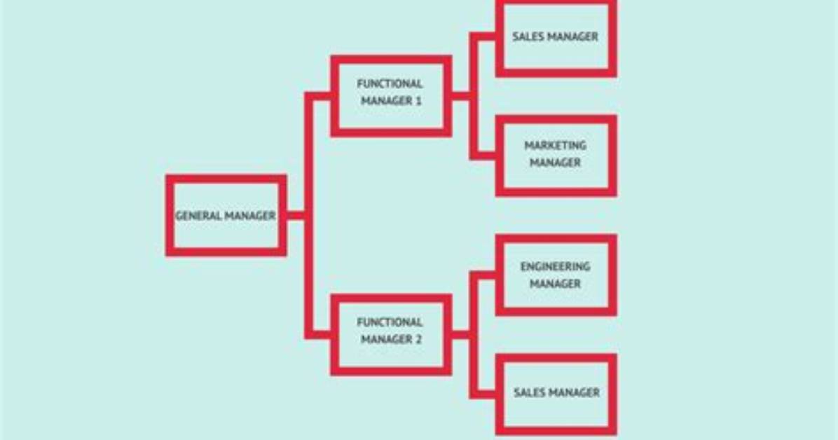 Why Matrix Organizational Structure?