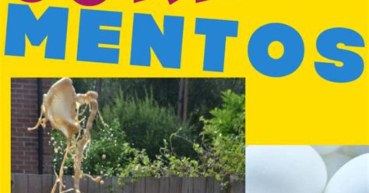 Why Mentos and Coke Explode?