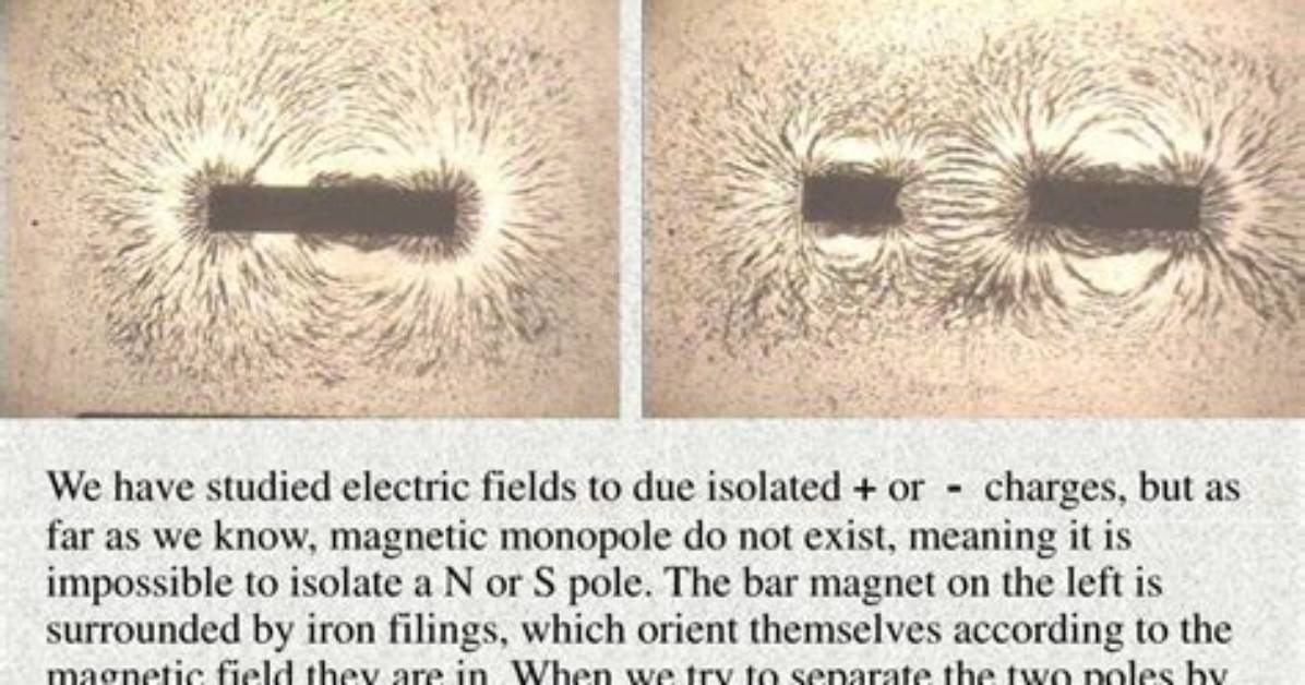 Why Monopole Does Not Exist?