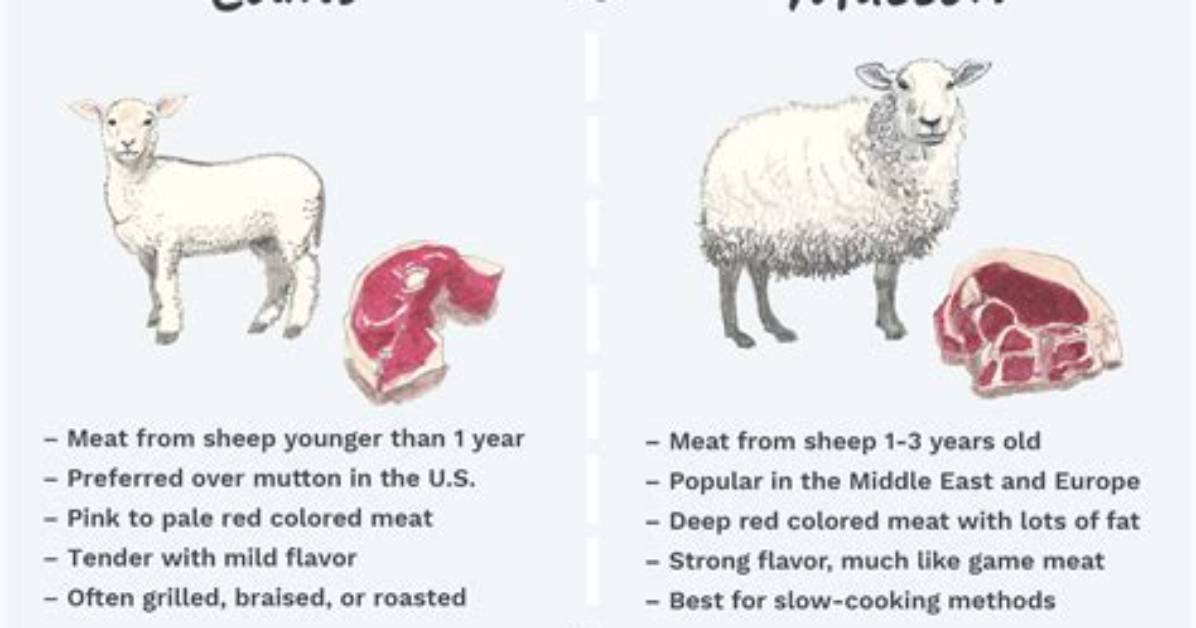 Why Mutton Is Called Red Meat?
