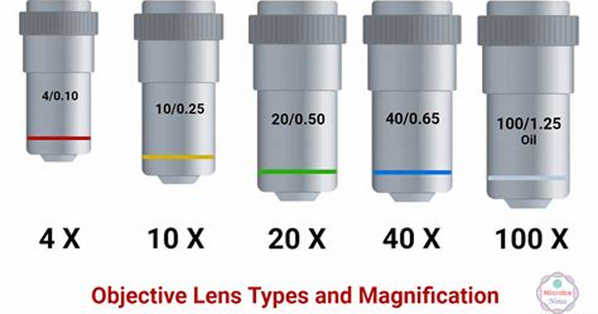 Why Objective Lens Is Small in Compound Microscope?