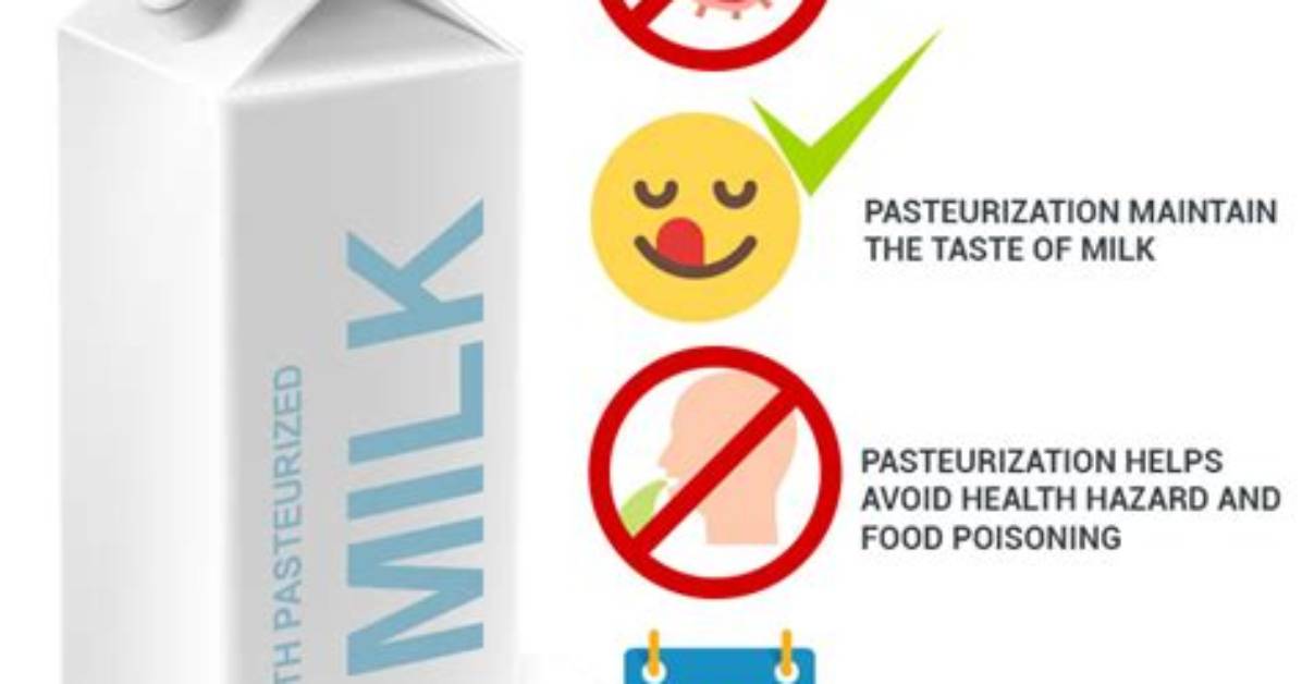 Why Pasteurized Milk Is Bad for You?