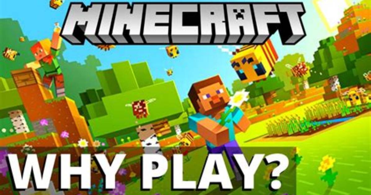 Why Play Minecraft