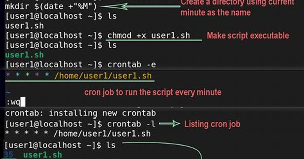 Why Putting a Script in /Etc/Cron. Hourly Is Not Working?