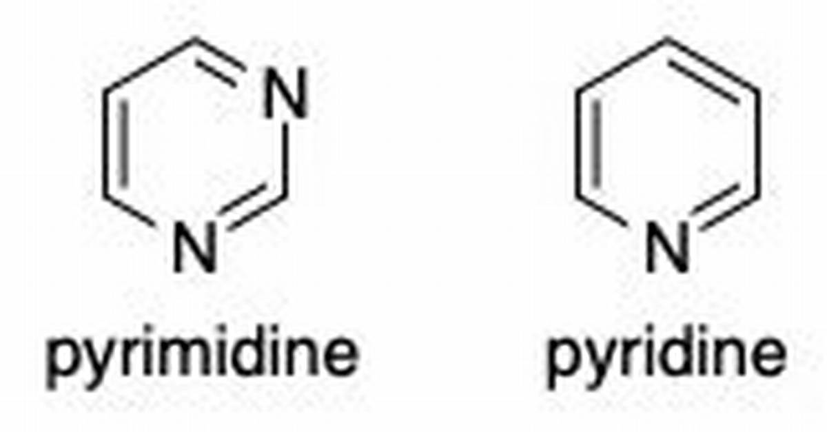 Why Pyridine Is More Basic Than Pyrimidine?