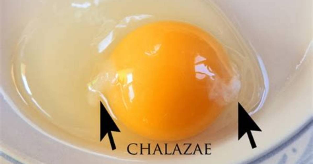 Why Remove Egg Chalaza?